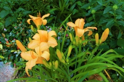 c0204121_8414857.jpg