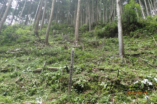 e0138321_719215.jpg