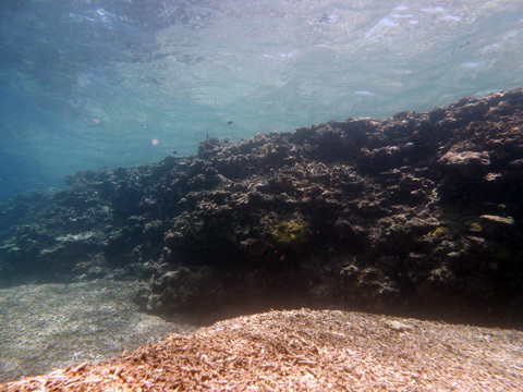 f0014842_21004430.jpg