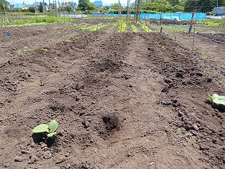e0004756_21112445.jpg