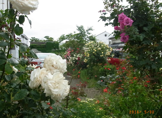 b0075364_16361393.jpg