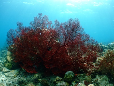 b0033573_00284809.jpg