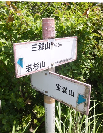 d0126573_1063615.jpg