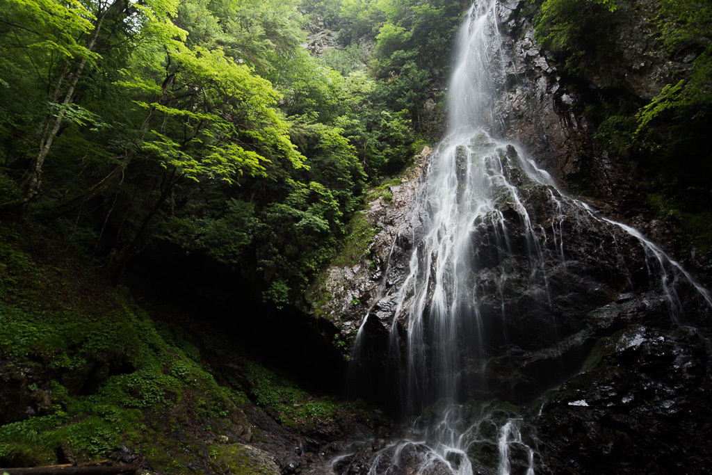 a0301676_21435998.jpg