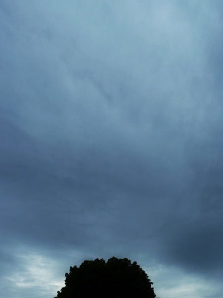 b0326576_23261879.jpg