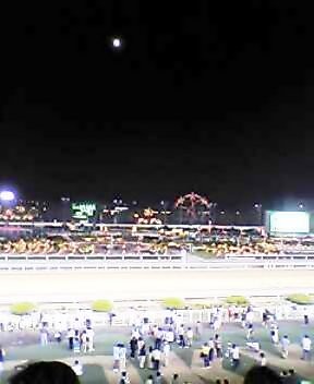 b0043980_1749051.jpg