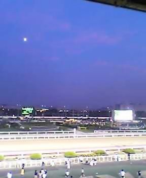 b0043980_1749159.jpg