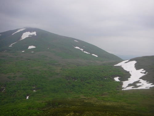 d0198793_5474323.jpg