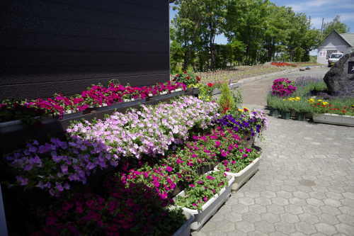 c0352894_11375829.jpg