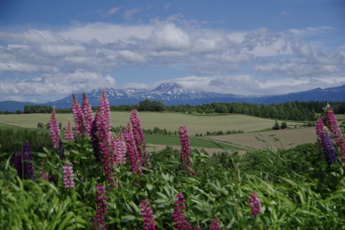 c0352894_11453652.jpg