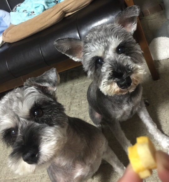 b0188998_23144276.jpeg
