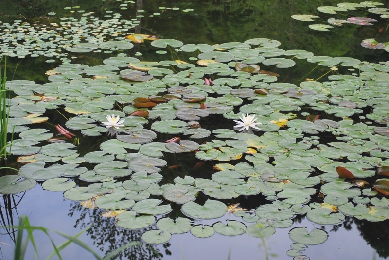 e0025300_1318244.jpg