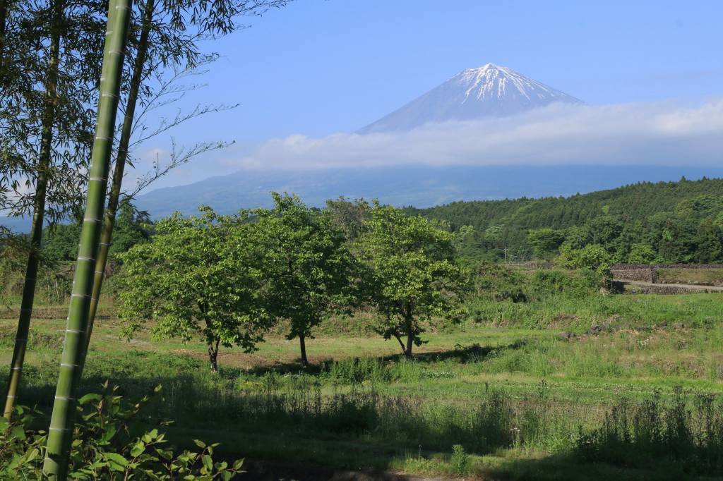 a0188405_07282310.jpg