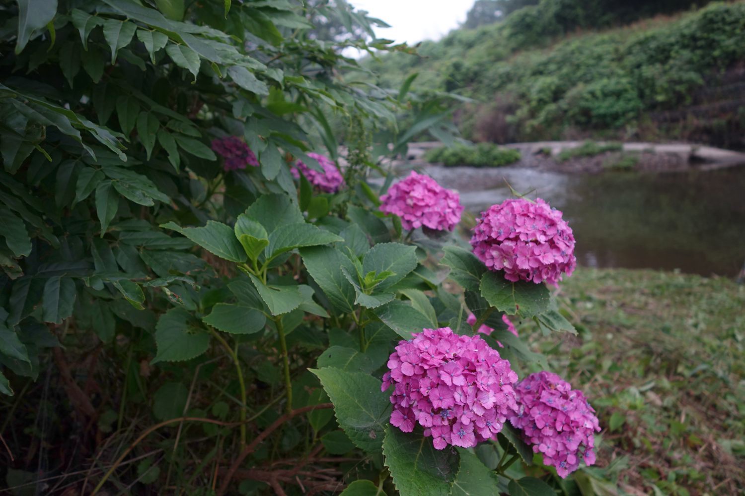 f0133213_06505365.jpg