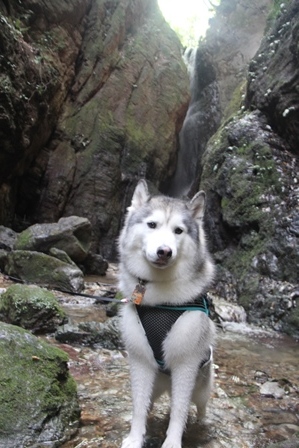 b0207615_20423391.jpg