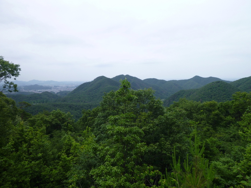 d0170615_132487.jpg