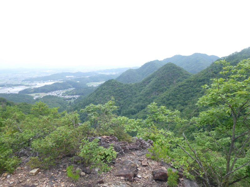 d0170615_1342736.jpg