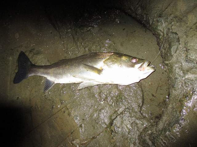 f0321433_19121620.jpg