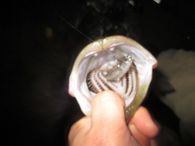 f0321433_19180421.jpg