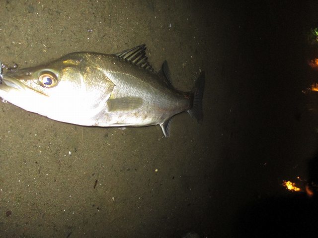 f0321433_19212448.jpg