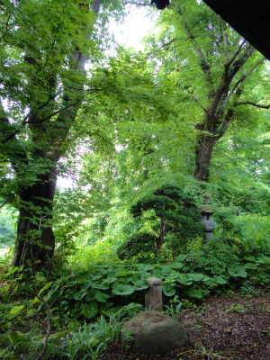 a0169547_9473128.jpg