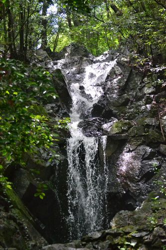 b0243152_8122921.jpg