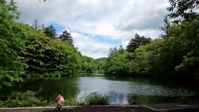 b0274270_11392789.jpg