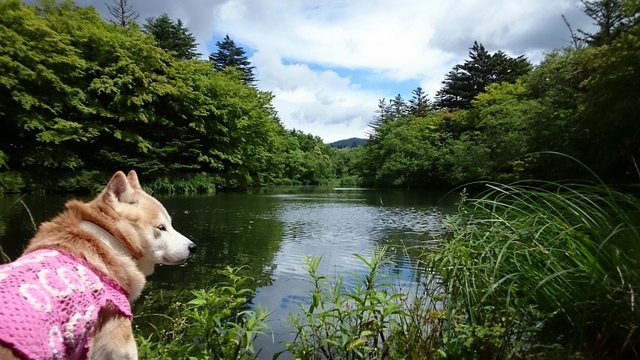 b0274270_11393579.jpg