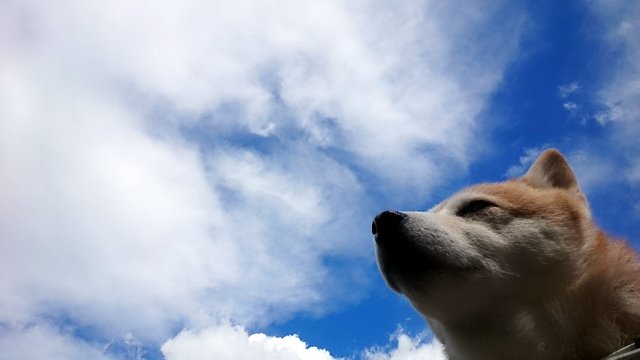b0274270_11394592.jpg
