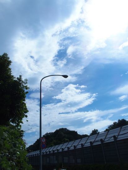 c0122670_20294631.jpg