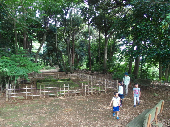 c0122670_20332981.jpg