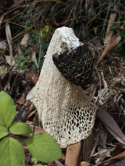 c0122670_20361150.jpg