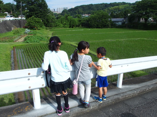 c0122670_20410107.jpg