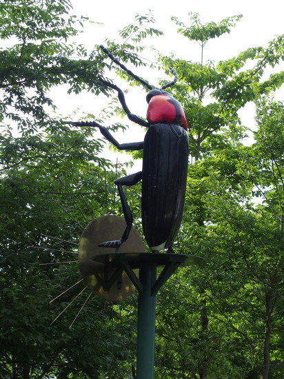 c0122670_20435161.jpg