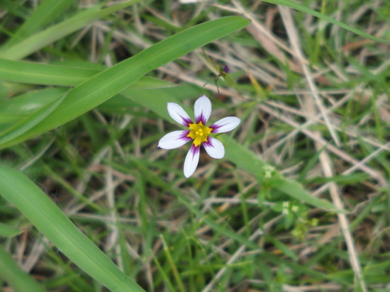 c0122670_20435176.jpg