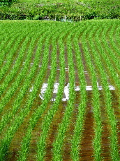 c0122670_20435198.jpg