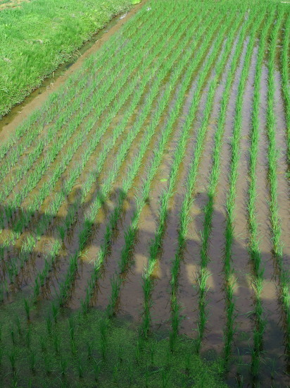 c0122670_20435253.jpg