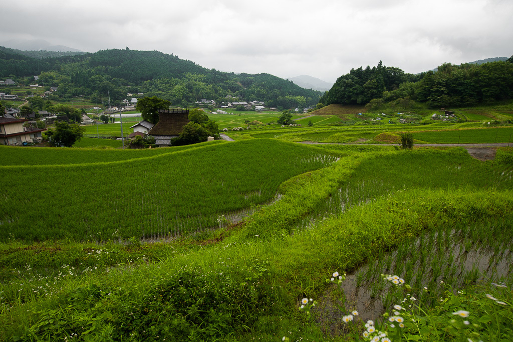 a0301676_21570906.jpg