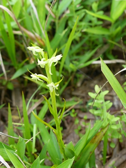 f0357487_1116969.jpg
