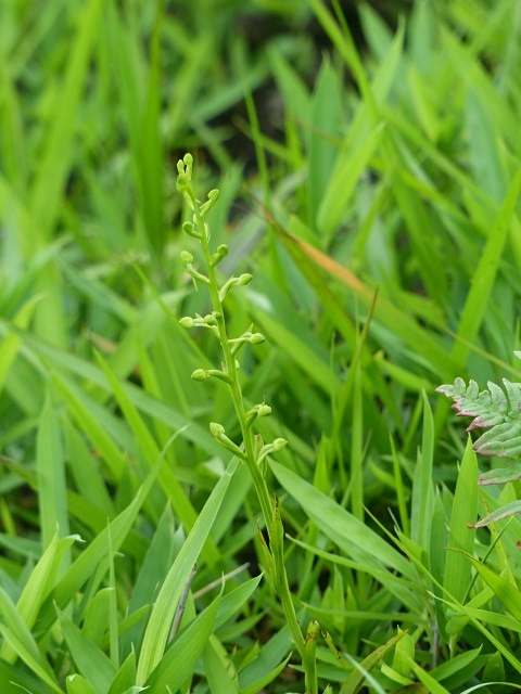 f0357487_11191695.jpg