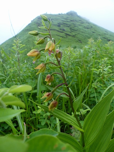 f0357487_11254494.jpg