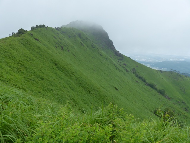 f0357487_11262638.jpg