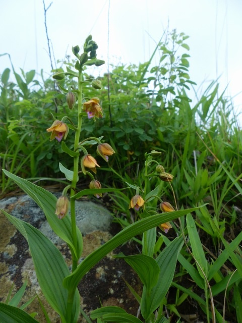 f0357487_1131551.jpg
