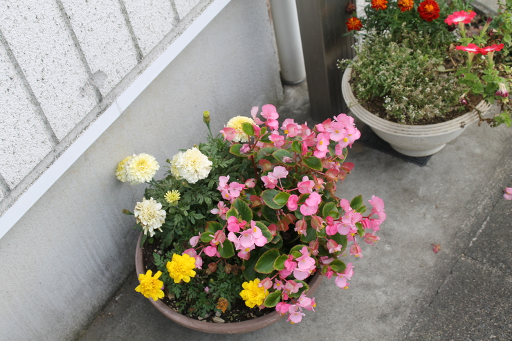 b0161391_4591050.jpg