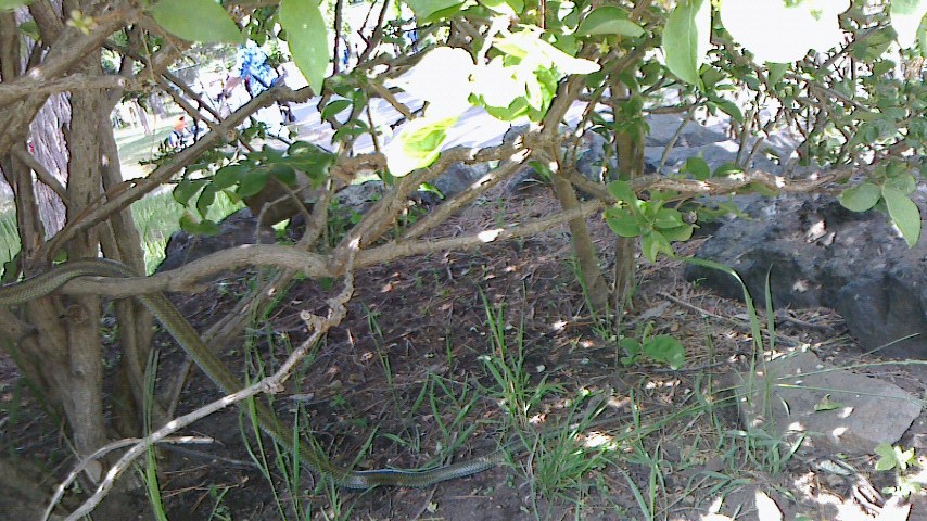 f0200795_160416.jpg