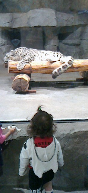 f0200795_16203573.jpg