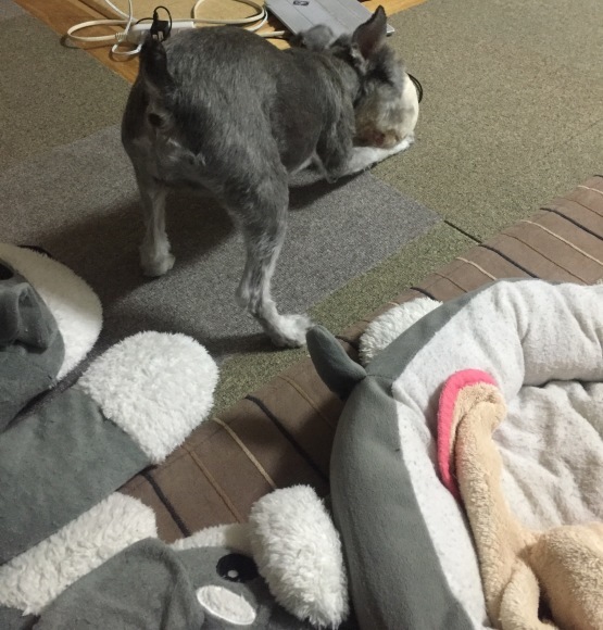 b0188998_21331730.jpeg