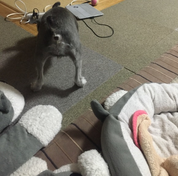 b0188998_21335287.jpeg