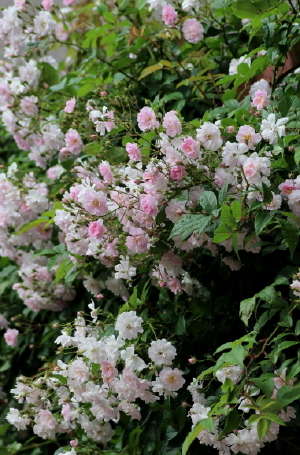 f0041606_17314874.jpg