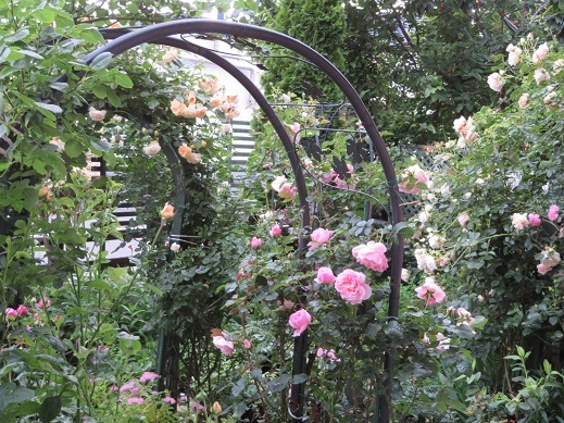 f0325309_21290250.jpg